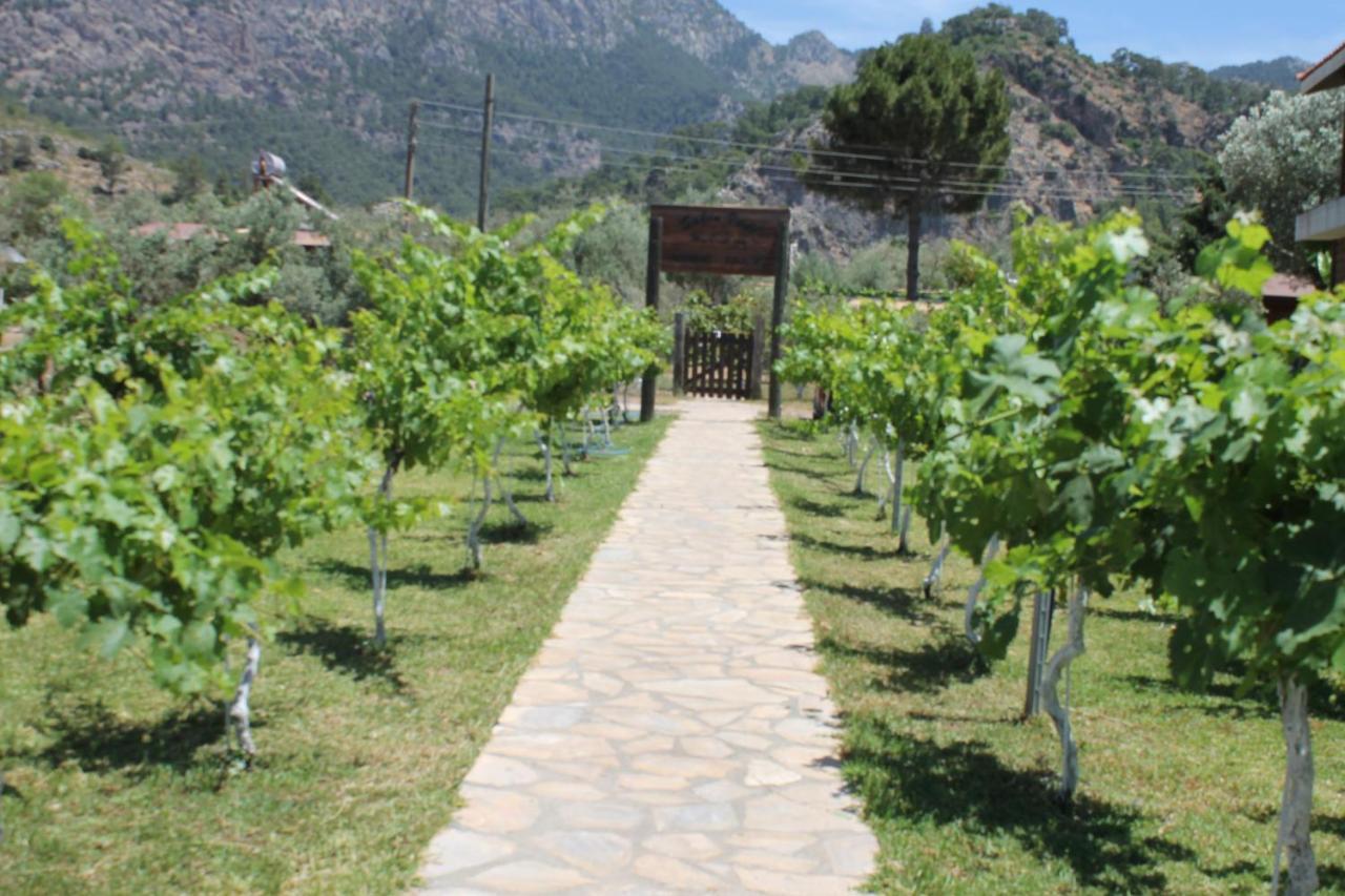 Bed and Breakfast Sakin Vadi Winehouse Orhaniye  Zewnętrze zdjęcie