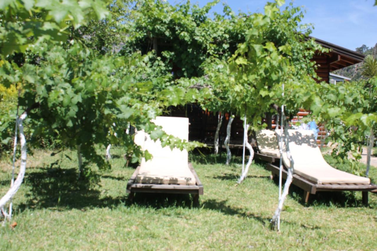 Bed and Breakfast Sakin Vadi Winehouse Orhaniye  Zewnętrze zdjęcie