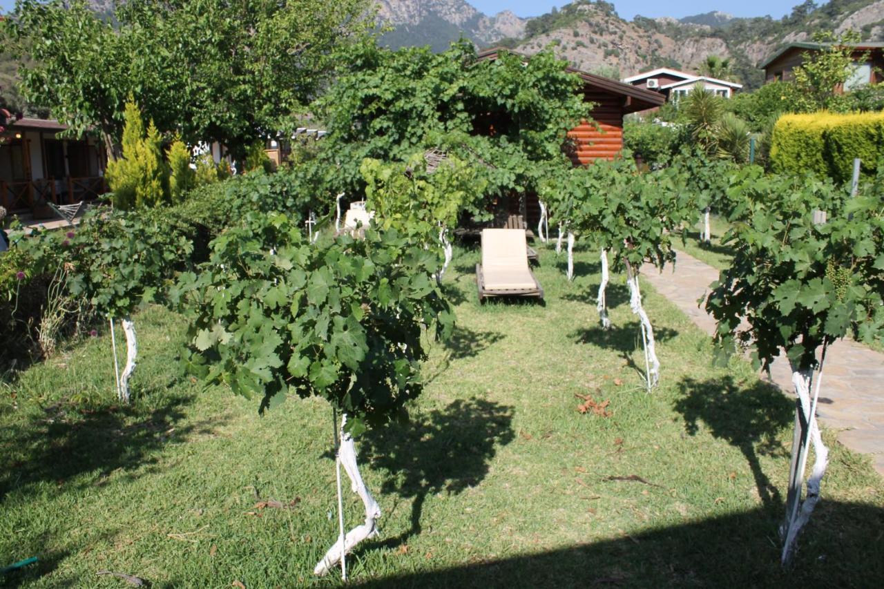 Bed and Breakfast Sakin Vadi Winehouse Orhaniye  Zewnętrze zdjęcie